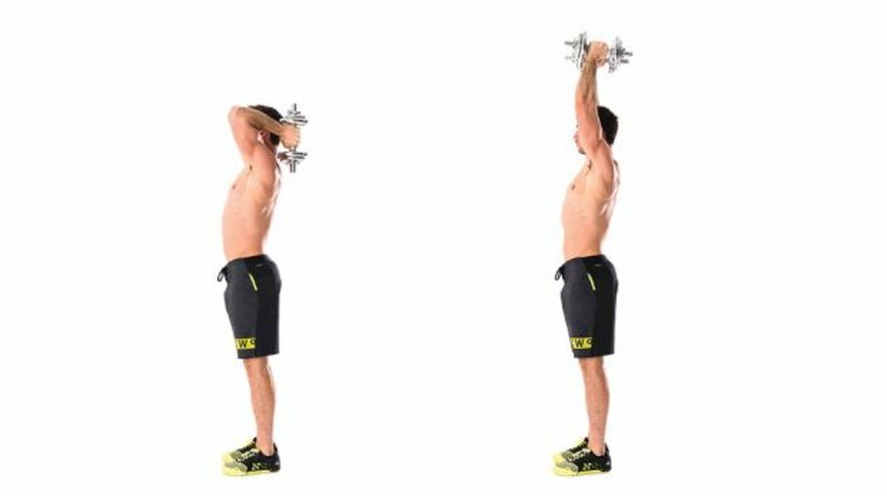 Exercices d'haltères triceps efficacement Les triceps font des exercices d'haltères