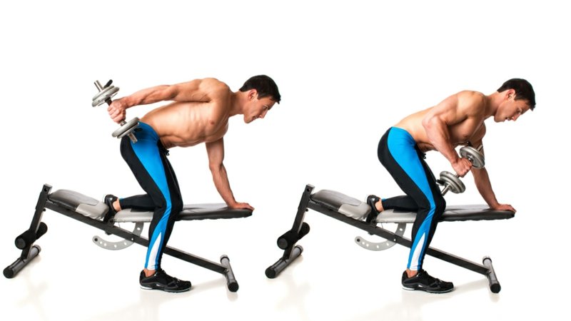 Construisez les rebonds musculaires des triceps avec des haltères Faire de l'exercice avec des haltères en salle ou à la maison