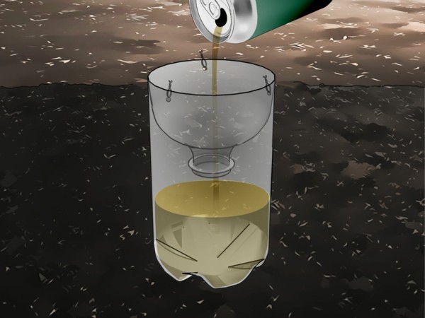 Elimina le lumache Controlla i parassiti