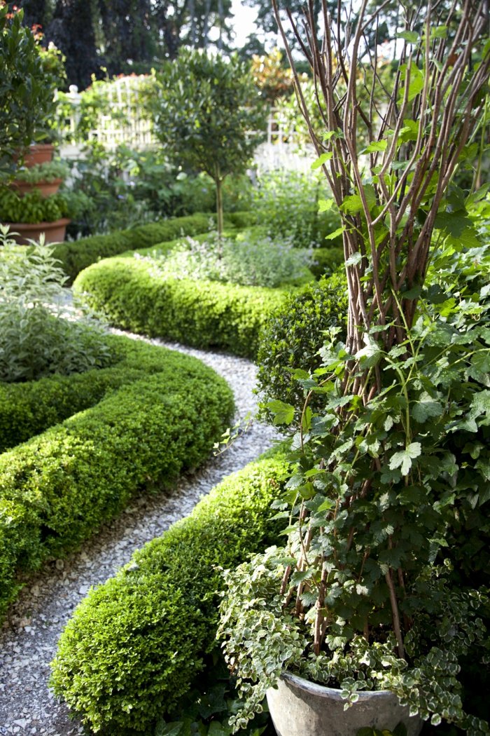 Conseils et astuces pour la conception de la cour avant Haie à feuilles persistantes de chemin de jardin de conception de cour avant