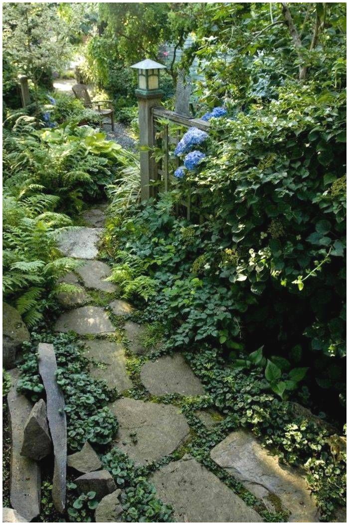 Transformez votre cour avant en une oasis de verdure! Transformez la cour avant en une oasis de verdure
