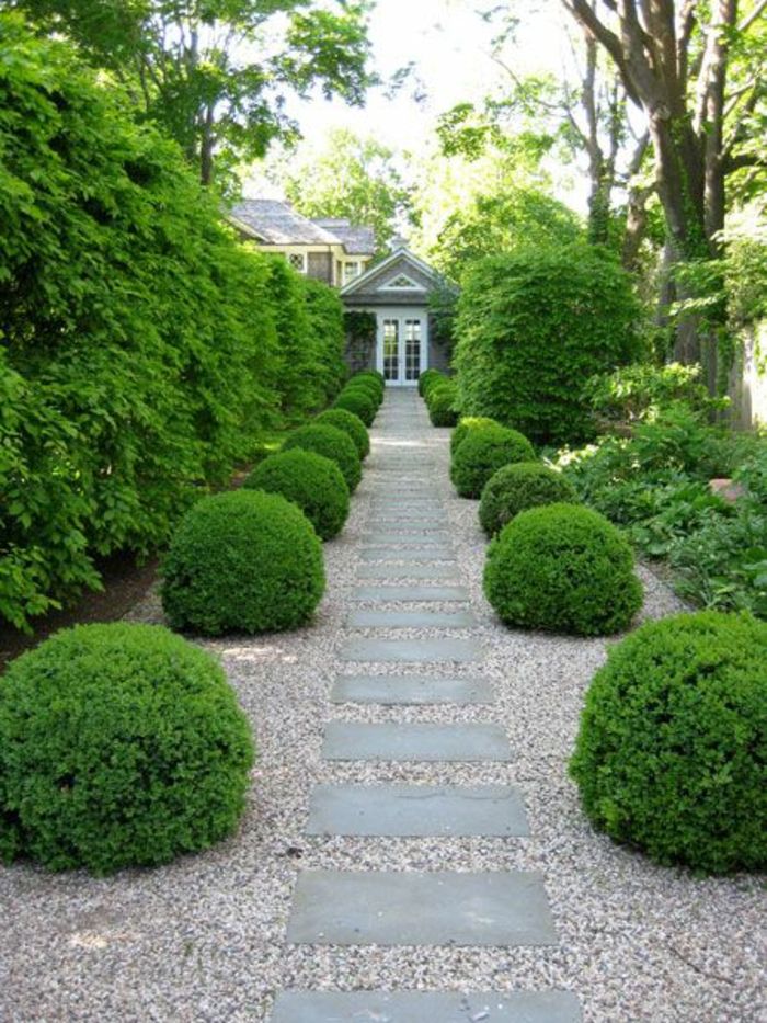 Chemin de jardin avec écran d'intimité dans la cour avant Buissons de chemin de jardin de conception de cour avant