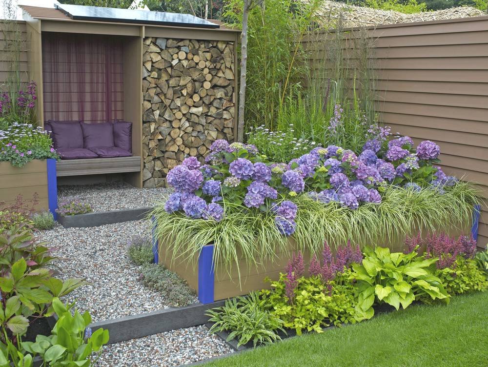 Plantez la cour avant avec des hortensias Espèces végétales hortensias de cour avant