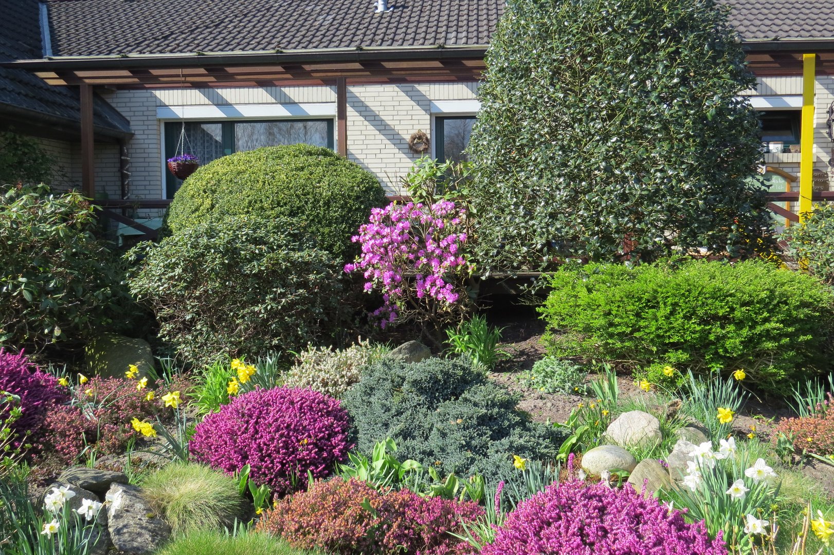 Apportez de la variété dans la cour avant avec différentes plantes! Les buissons de fleurs de jardin avant ont un look magnifique