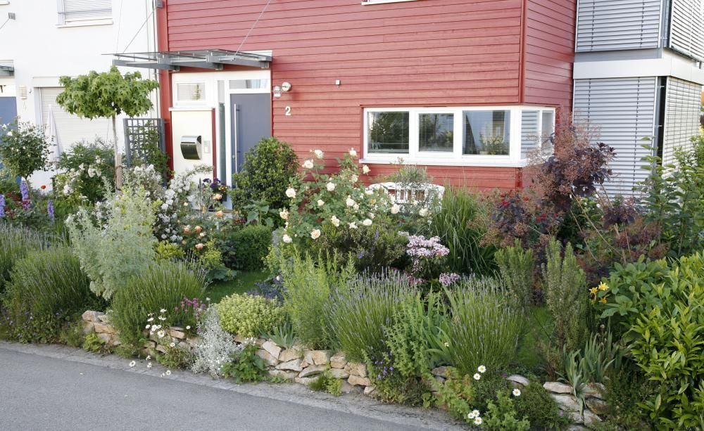 La cour avant crée un look merveilleux Sélectionnez les types de plantes de conception de jardin avant