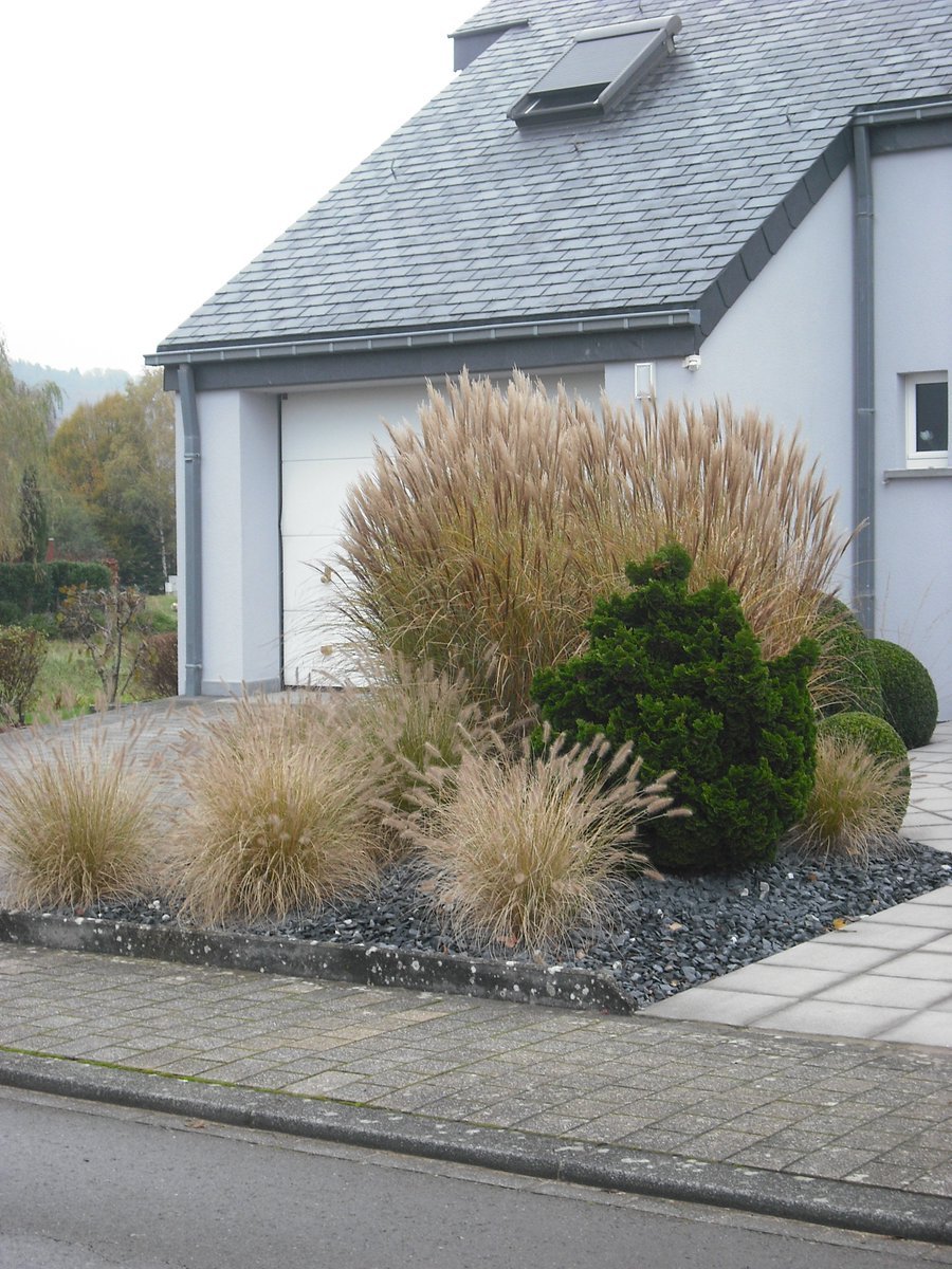 Espèces végétales attrayantes de conception de jardin avant Planter des conseils utiles dans la cour avant