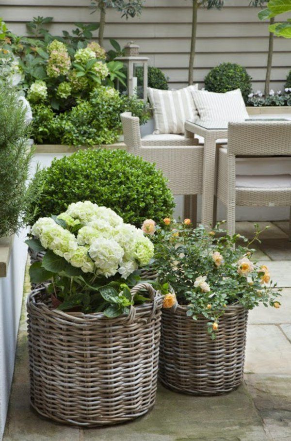 Jardin avant design de belles fleurs pour la terrasse Sélection d'espèces végétales terrasse