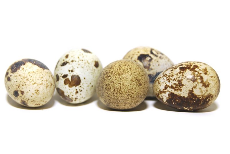 mennyi ideig főzzük a fürjtojást