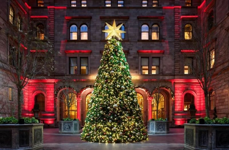 alberi di natale new york