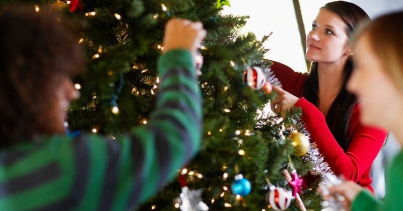 Decora l'albero di Natale con la famiglia Consigli e idee per decorare l'albero di Natale