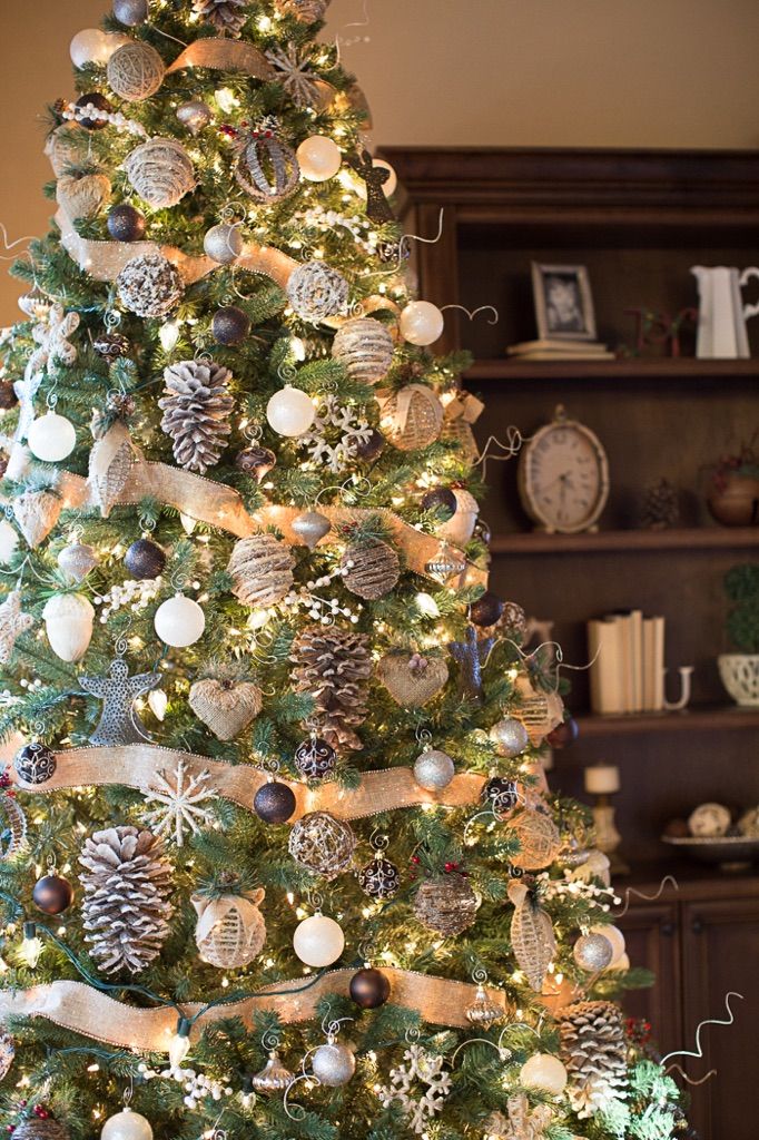 Decorazioni per l'albero di Natale elementi naturali L'albero di Natale decora le pigne in organza