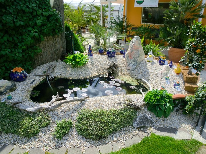 mini étang dans le jardin