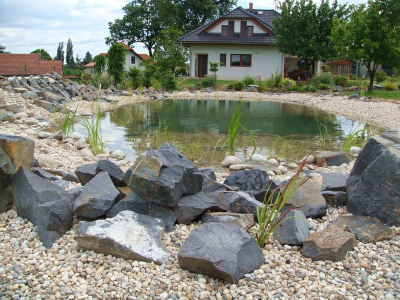 mettre un étang de jardin devant la maison