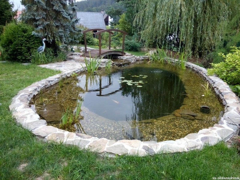 deux profondeurs différentes dans l'étang de jardin
