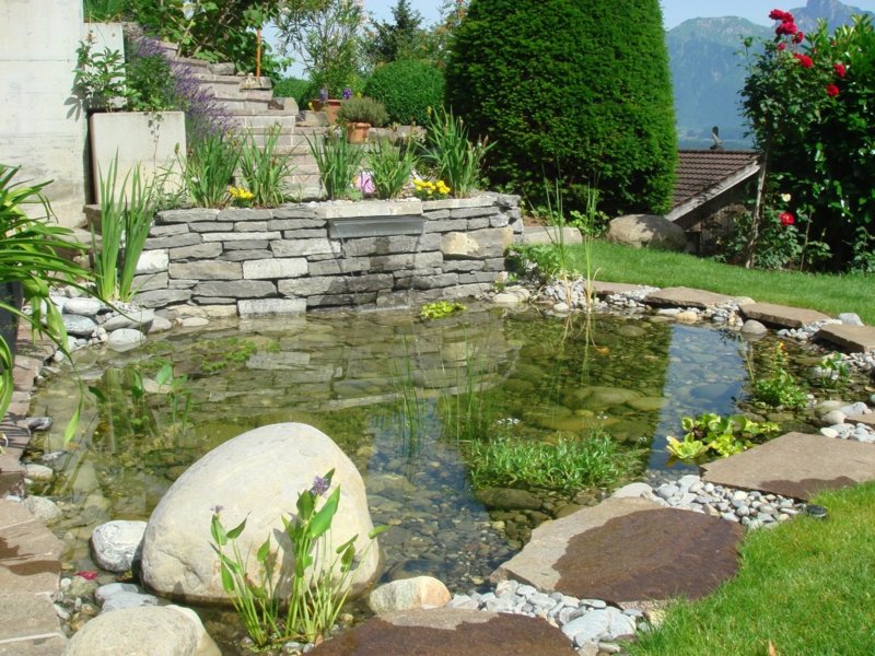 beaucoup d'eau dans le jardin