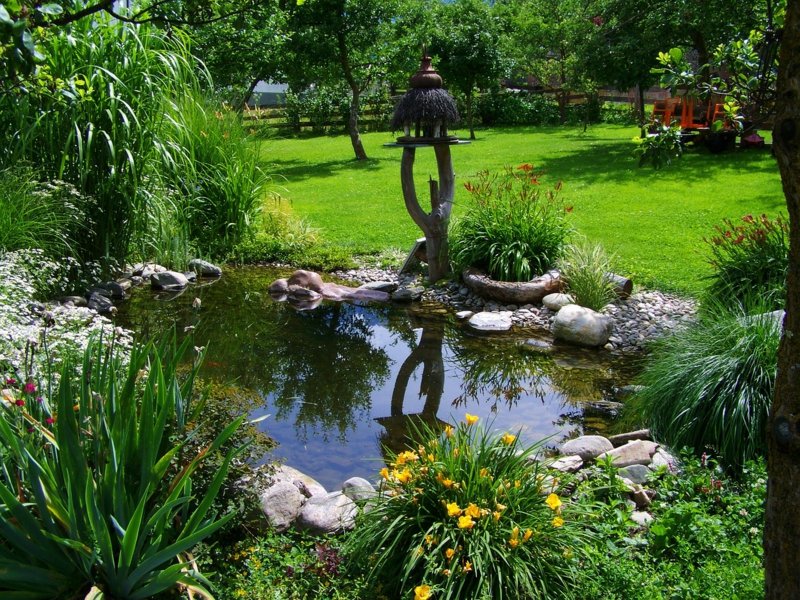 belle conception d'un étang de jardin