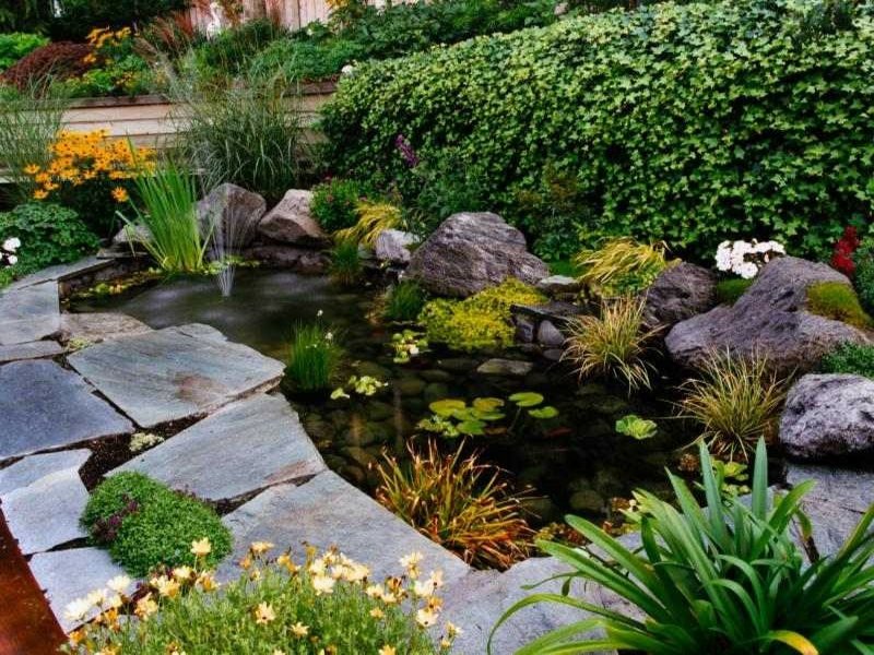 créez votre bassin de jardin de manière moderne