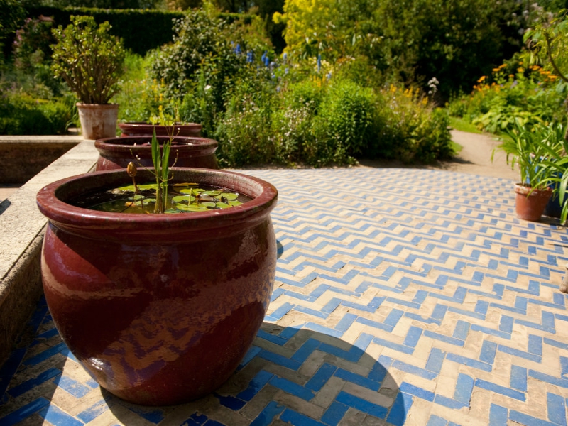 le bassin de jardin peut aussi être en pot