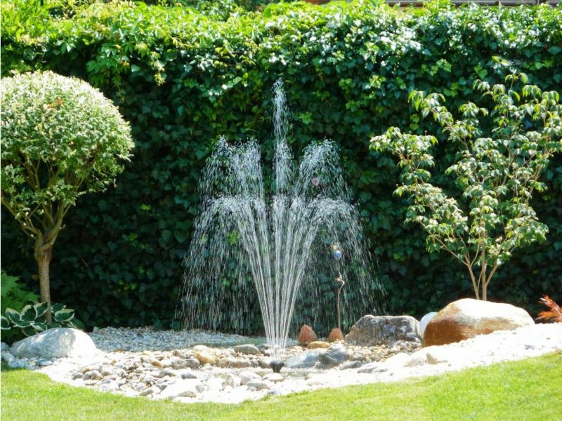 accent de police au milieu de l'étang du jardin