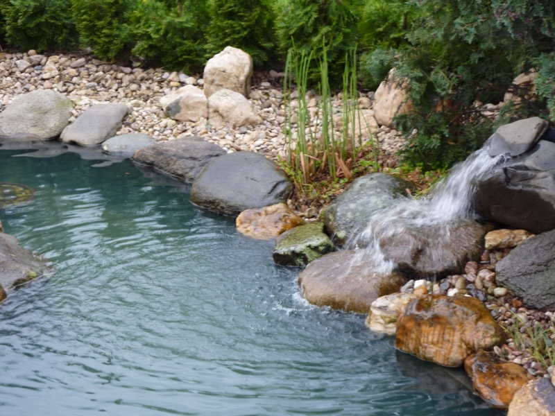 décoration de l'eau dans l'étang du jardin