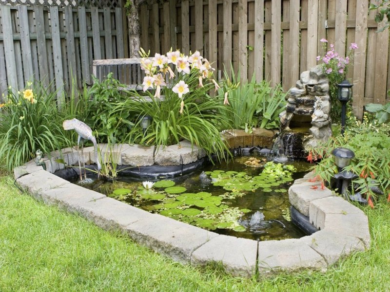 garden-tech-in-the-back-yard-resized