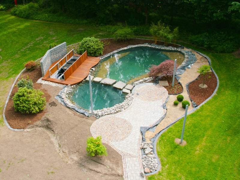 beau design dans le jardin d'eau