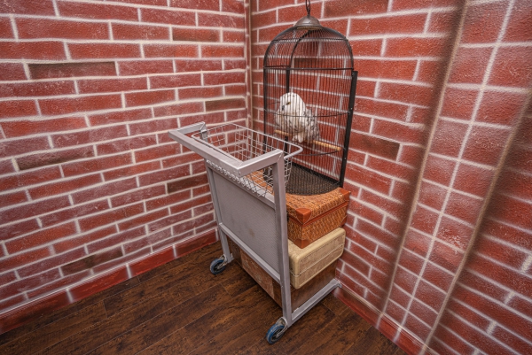 Iznajmljivanje odmora na Wizard's Wayu i izbliza doživite Hogwarts. Spavaća soba željezničke postaje harry potter dare hedwig