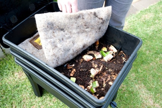 Növelje a féregdobozt, és gyűjtse össze a saját szerves trágya betakarításának előnyeit a szabadban