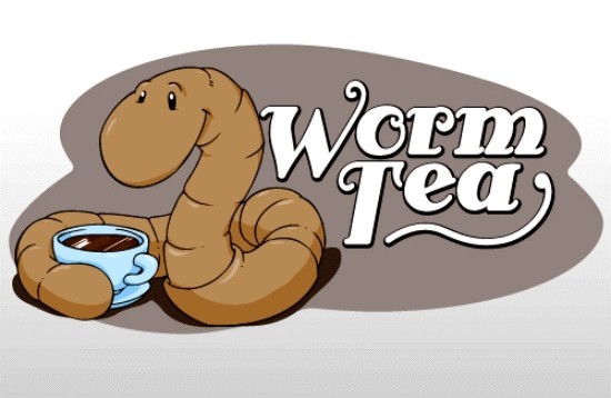 Növelje a féregdobozt, és szüretelje saját szerves műtrágyájának előnyeit, ha maga készít toronyteát a féreg humuszából