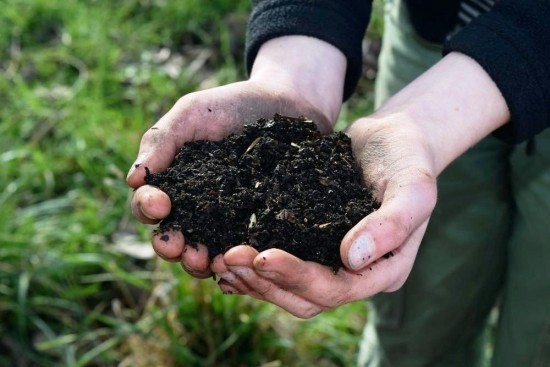 Növeljen egy féregdobozt, és élvezze a saját szerves trágya, féreg humusz előnyeit a kertben és a szobanövényekben