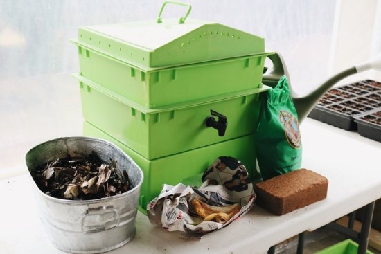 Növeljen egy féregdobozt, és élvezze a saját szerves trágya előnyeit