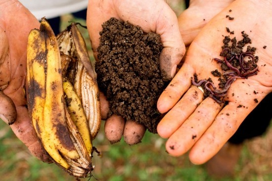 Növeljen egy féregdobozt, és élvezze a saját szerves műtrágya előnyeit. Szerves élő szerves trágya féreg humusz